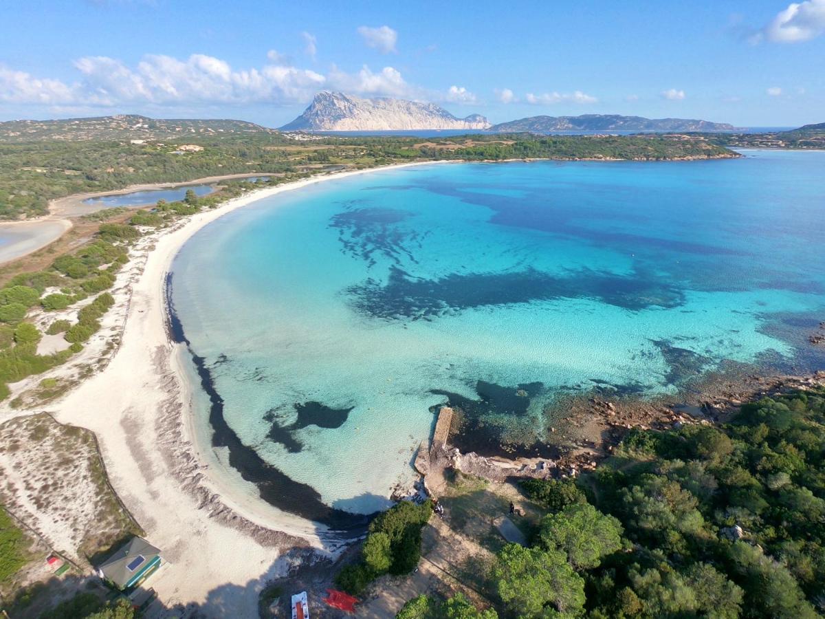 סאן תאודורו Iss Travel, Villa Fiorita - 800 M From La Cinta Beach מראה חיצוני תמונה